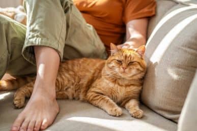 Why Does My Cat Sleep Between My Legs?