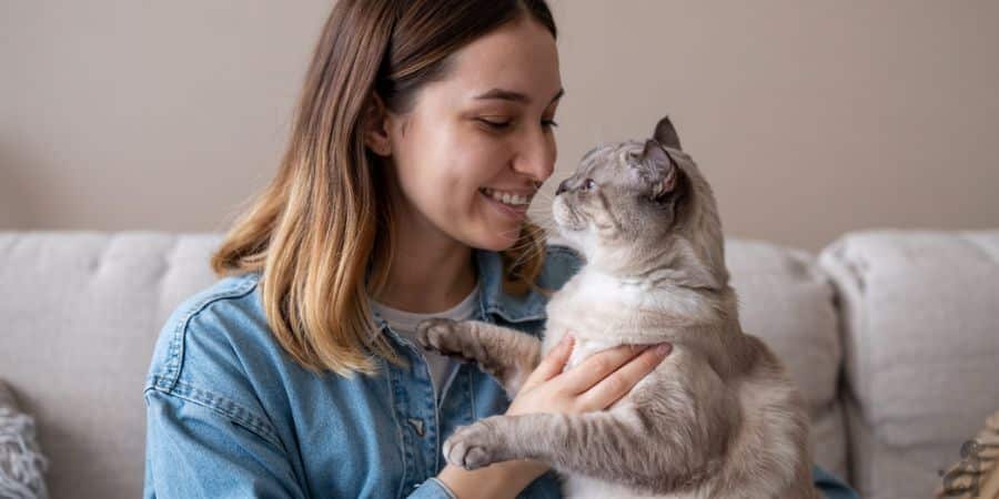 Why does my cat bite my nose?