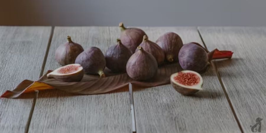 Why Are Figs Toxic to Cats?